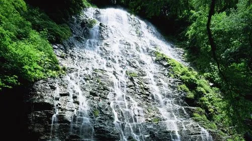 数字化节能智能系统